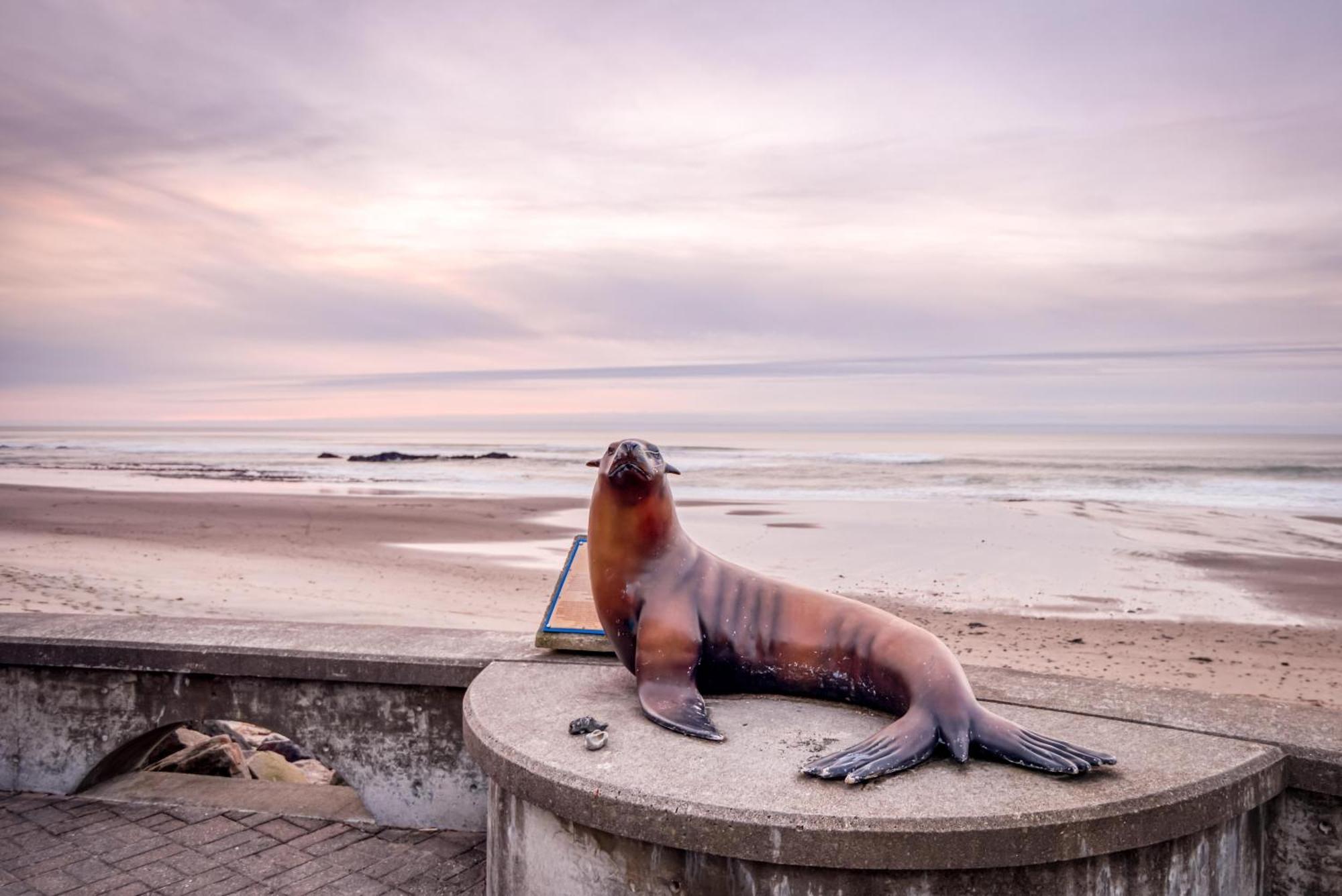 The Lighthouse In Lincoln City Luaran gambar